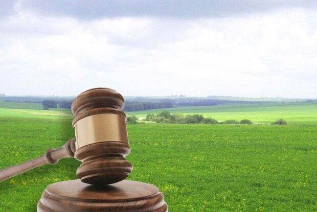 На Волині у власність держави повернуто землі природно-заповідного фонду вартістю майже 485 мільйонів гривень