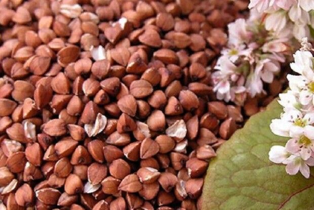 На Рівненщині вже молотять гречку, а на Волині ще й пшеницю з ячменем не зібрали