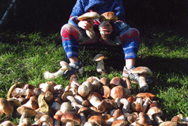 ФОТО НА КОНКУРС: роботяща дитина