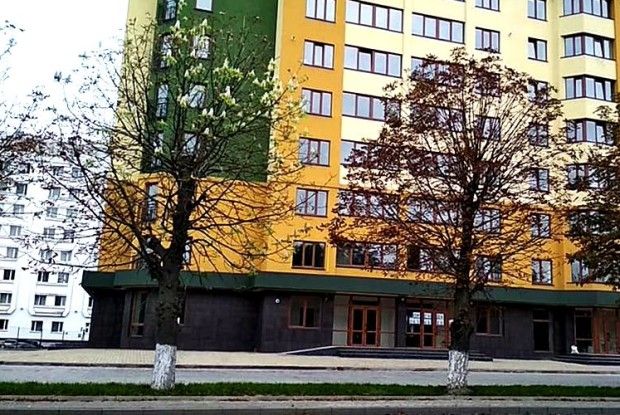 У Луцьку знову цвітуть безлисті каштани 