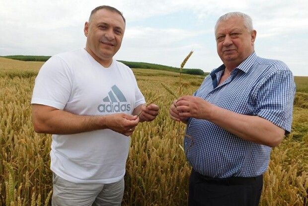 На Горохівщині жнива розпочав чемпіон світу Валентин Слуцький