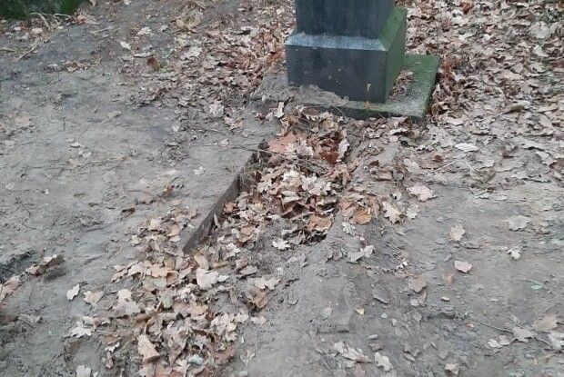 Поліція затримала молодиків, які заживо «похоронили» волинянина (Фото, відео)