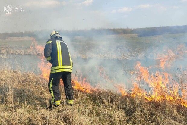 У селі на Волині вогонь знищив 2 гектари сухої трави
