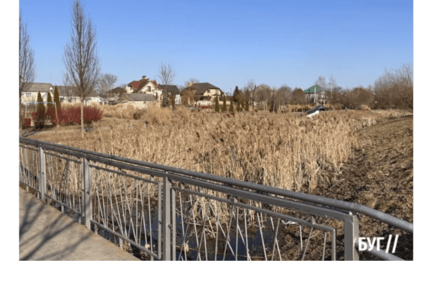 У великому місті на Волині заросла річка, як джунглі