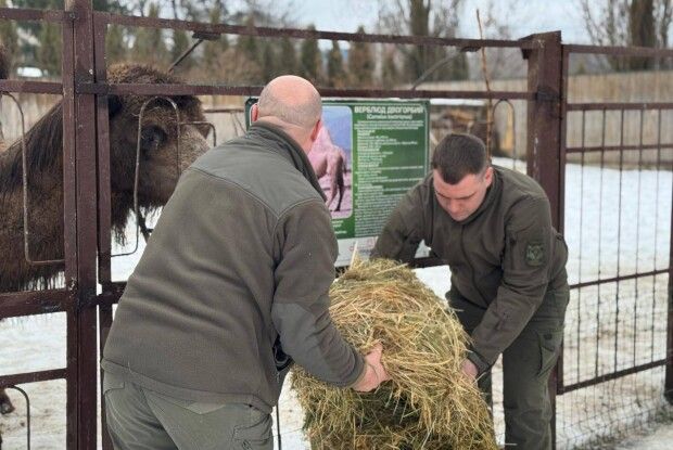 Луцький зоопарк отримав рятівний вантаж від лісівників (Відео)