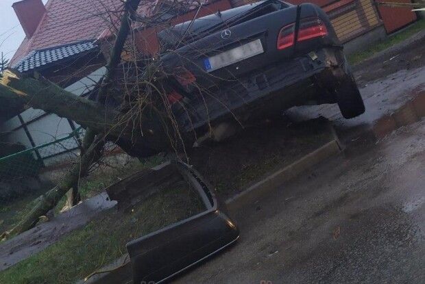 У Ковелі легковик зніс дерево і вилетів на тротуар