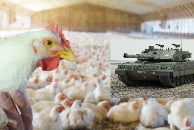 Танк помилково обстріляв курячу ферму
