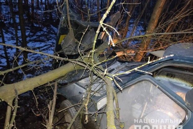 На Горохівщині нетверезий водій з’їхав у кювет (Фото)