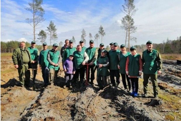 Камінь-Каширці дбають про майбутнє лісу