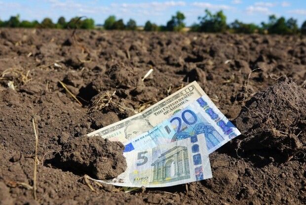Іноземець примусово відчужив п’ять земельних ділянок на Волині
