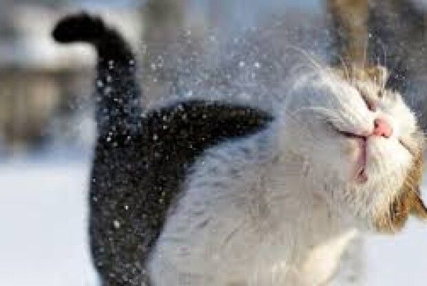 На дорогах небезпечно:  якою буде сьогодні погода на Волині