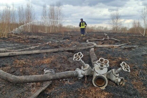 В урочищі Плави на Волині невідомі здійснили підпал