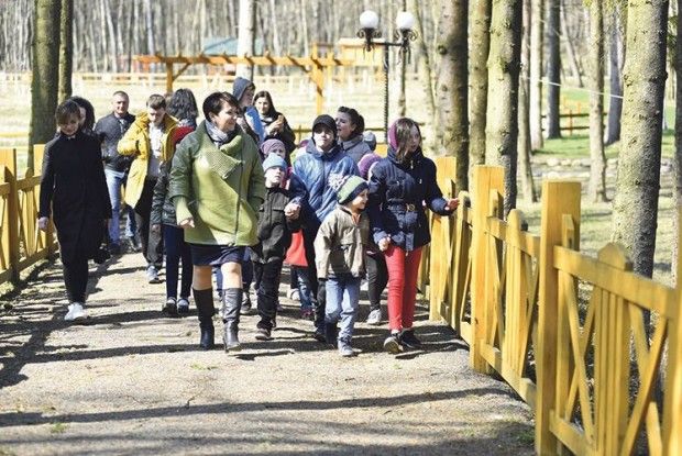 Політично-лісові реалії Ківерцівщини