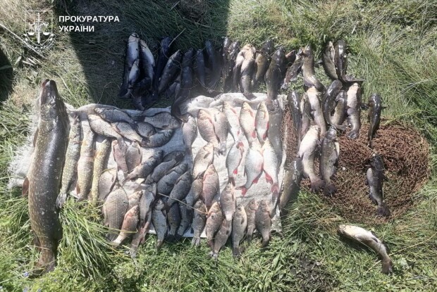 За браконьєрство на озері пенсіонер з Волині сплатить понад 180 тисяч гривень
