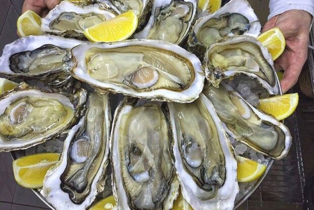 В Україну завезли устриці із небезпечним вірусом, що викликає масштабні епідемії 