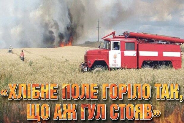 На Волині пожежі знищили 190 гектарів хлібного поля   