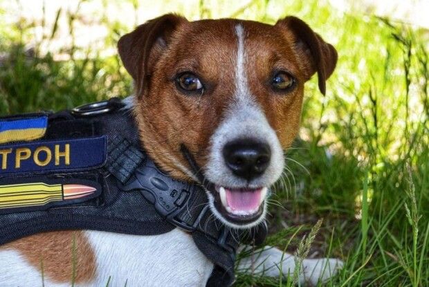 Скільки часу знадобиться на повне розмінування України