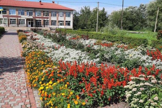Освітні заклади Камінь-Каширського району – найквітучіші в Україні