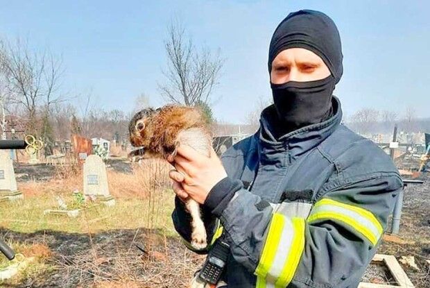 Щоденник «Газети Волинь»: Панове політики, не в словоблудстві, а в побуті побудьте ближчими до народу