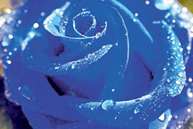 ЯК «НЕ ВСІ»