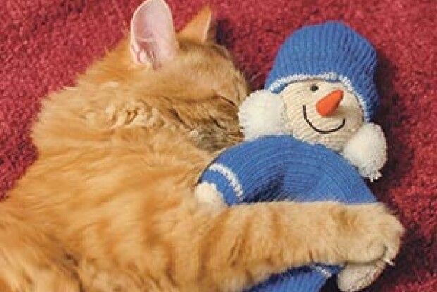 ВІКНО РУБРИКИ: сни про зиму