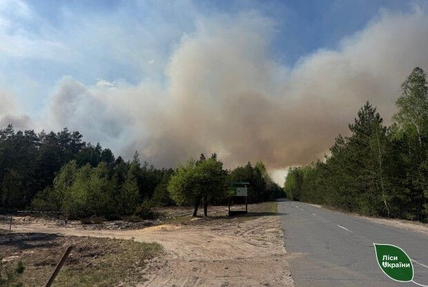 На Рівненщині вогонь дійшов до природного заповідника