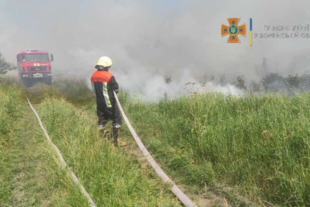 На Горохівщині ледве не згоріло більш, як гектар зернових (Фото)