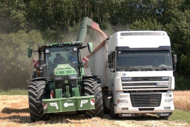 На Волині стартували жнива: у полях працюють понад 3 тисячі комбайнів (Відео)