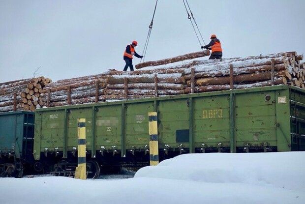 Із Полісся на передову поїдуть 55 вагонів деревини