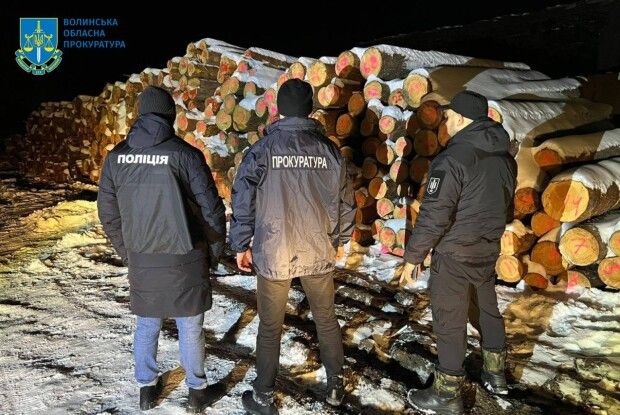 На Волині нарубали лісу на понад 7 мільйонів гривень