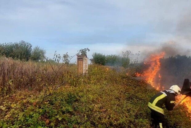 За підпал сухої рослинності волинянка сплатить штраф