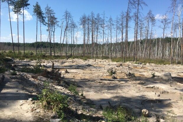 На Рівненщині організовують бурштиновий туризм