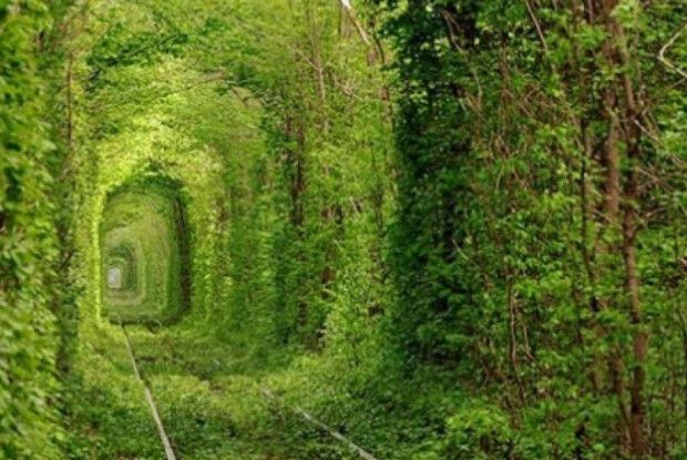 Тунель кохання очолив рейтинг найбільш романтичних маловідомих місць у світі за версією британського Daily Mail 