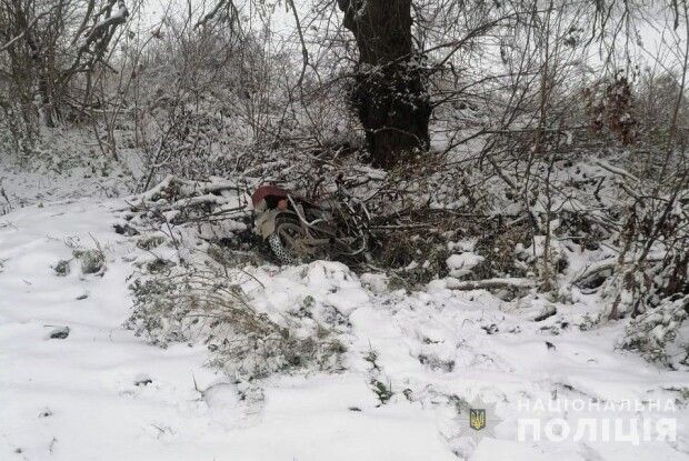 На Волині кінологи допомогли затримати двох злочинців
