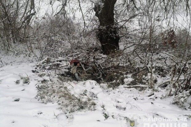 Працювали в парі: на Волині молодики «почистили» кілька будинків