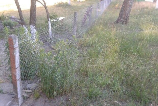 До Дня села зробили людям подарунок