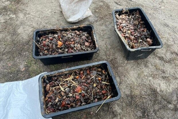 На Рівненщині поліцейські вилучили майже 80 кілограмів бурштину-сирцю та незареєстровану зброю