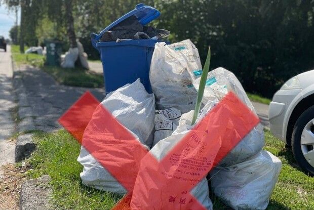 У Луцьку будуть полювати на порушників чистоти