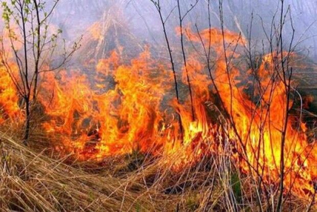 Спалював суху траву і загинув