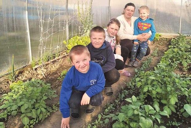 Тепличка від «Газети Волинь»: «Наші помідори тепер впираються у стелю»