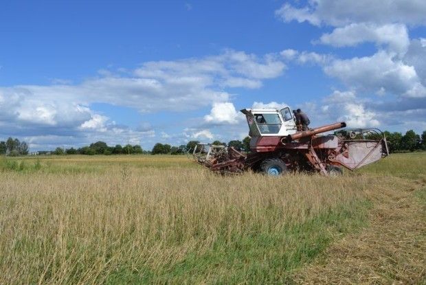 Ранні жнива спричинили стрибок ВВП до 3,8 відсотка