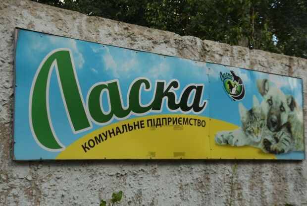 Директорка «Ласки» розповіла, чому в Луцьку немає сказу