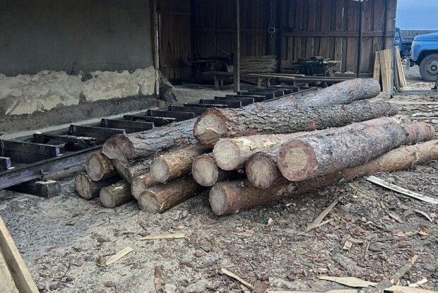 Деревина без документів та водій під кайфом – волинські «шерифи» наводять лад у громадах