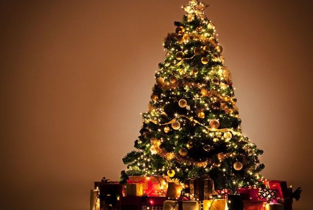 Щоб і на хвойних зелених лапах засвічувались гірлянди…