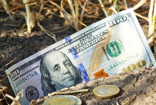 Українців попередили про зростання цін на землю: скільки коштує пай у 2024 році