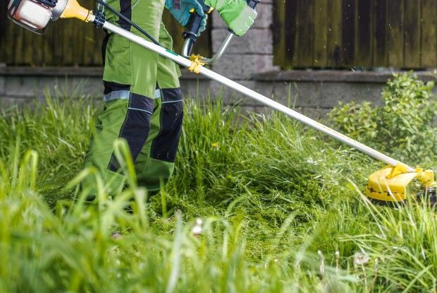 У селищі на Волині людей зобов’язали повикошувати траву