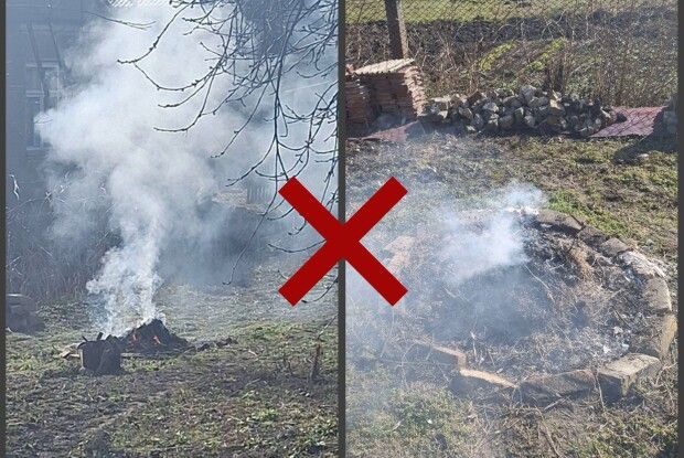 У Луцьку завдяки пильності містян виявили палійку сухостою