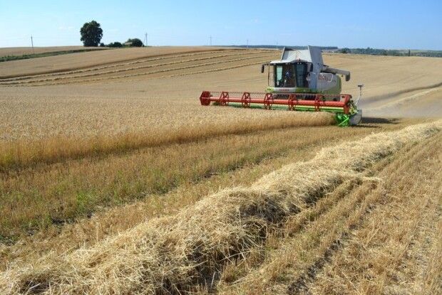 Волинські аграрії за заробітками – у золотій середині