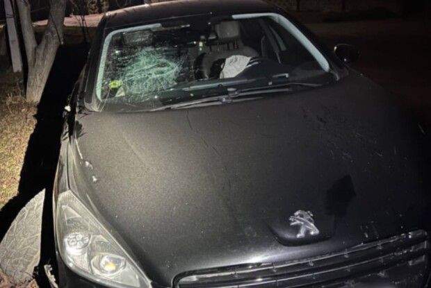 У Рівному 22-річна водійка врізалась у дерево