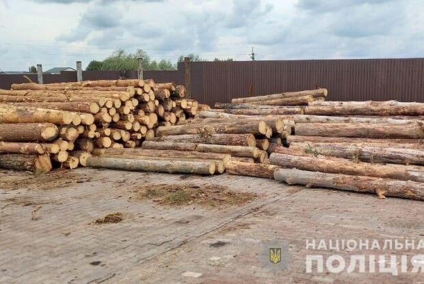 На Волині у підприємця на пилорамі виявили 15 кубометрів сумнівної деревини (Фото)